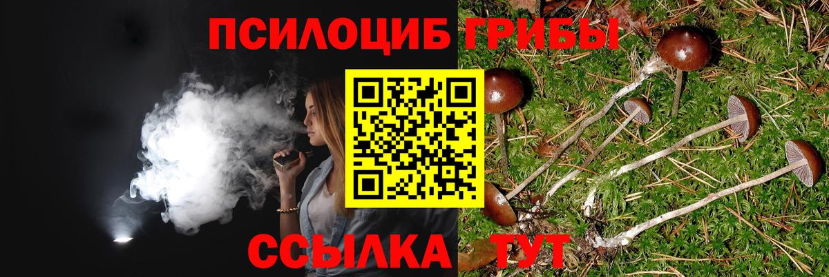 Галлюциногенные грибы MAGIC MUSHROOMS Феодосия